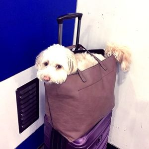 Meet your Posher, Lisa